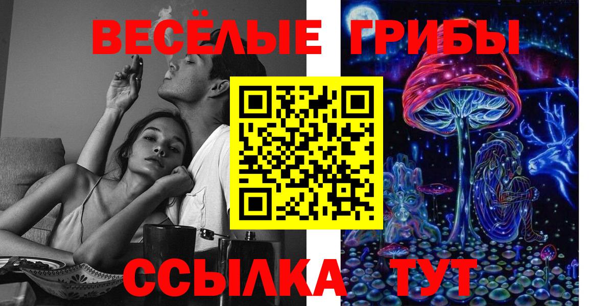 закладка  Галлюциногенные грибы прущие грибы  Вход с VPN  Городец 
